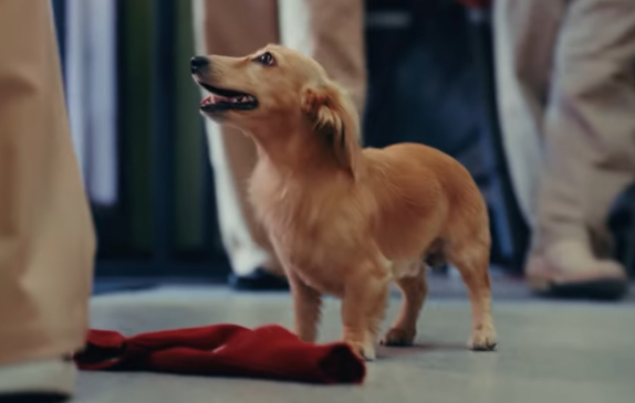 Шарль Леклер представил свою первую коллекцию одежды